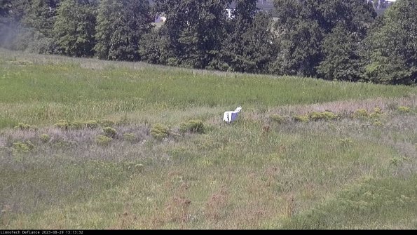 Cell 2 to 3_23-08-29_13-13-32-90