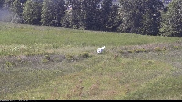 Cell 2 to 3_23-08-29_15-27-32-08