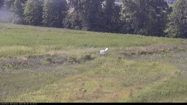 Cell 2 to 3_23-08-29_16-34-32-12