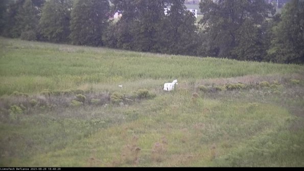 Cell 2 to 3_23-08-29_18-48-30-03