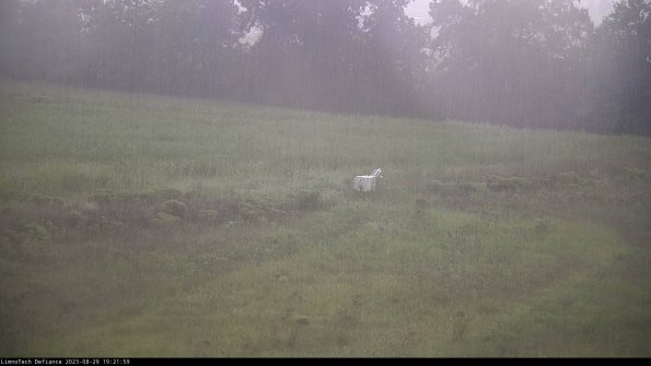 Cell 2 to 3_23-08-29_19-21-59-99