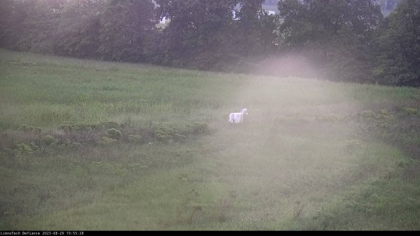 Cell 2 to 3_23-08-29_19-55-29-14