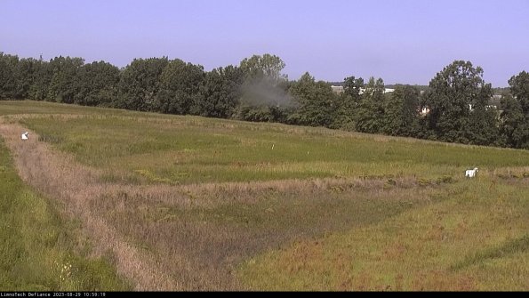 Cell 2_23-08-29_10-59-19-98