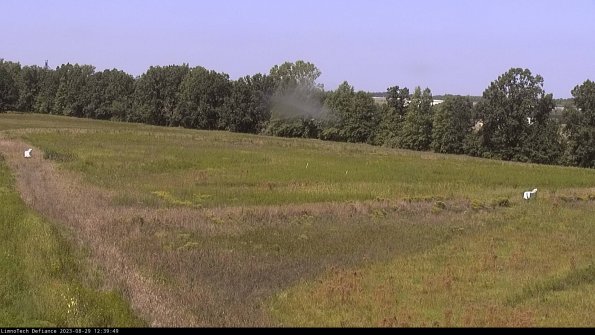 Cell 2_23-08-29_12-39-49-90