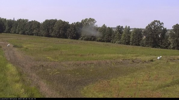 Cell 2_23-08-29_14-20-19-93