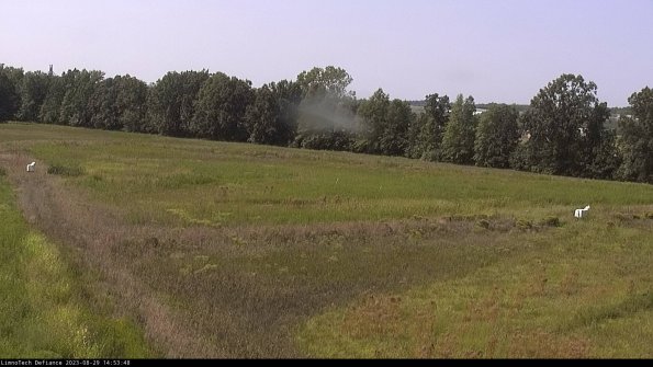 Cell 2_23-08-29_14-53-48-92