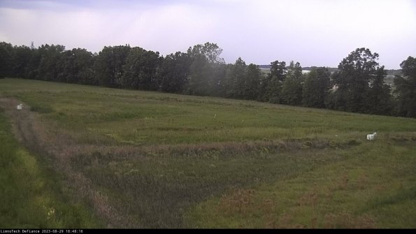 Cell 2_23-08-29_18-48-16-92