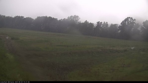 Cell 2_23-08-29_19-21-46-91