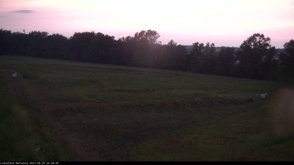 Cell 2_23-08-29_20-28-45-91