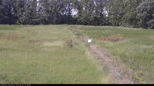 Cell 3 to 4_23-08-29_15-28-00-88