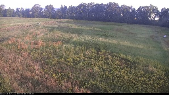 Cell 3_23-08-29_07-38-51-89