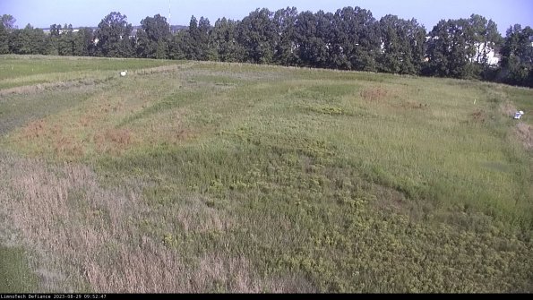 Cell 3_23-08-29_09-52-48-10