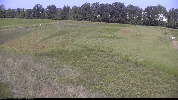 Cell 3_23-08-29_12-40-17-87