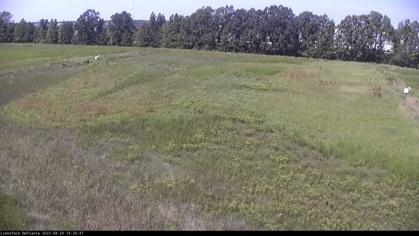 Cell 3_23-08-29_14-20-47-89