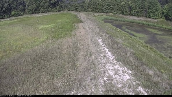 Cell 4 to Basin_23-08-29_16-35-44-90