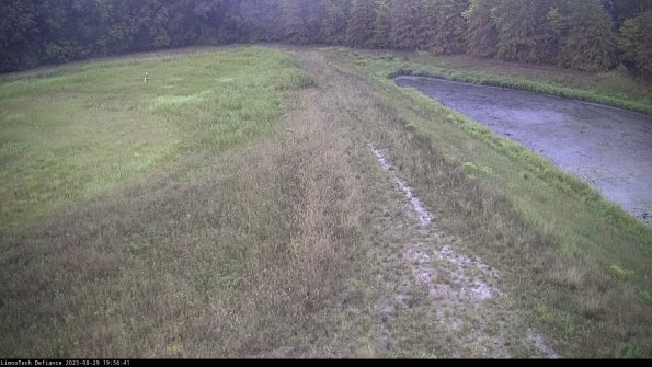 Cell 4 to Basin_23-08-29_19-56-41-91