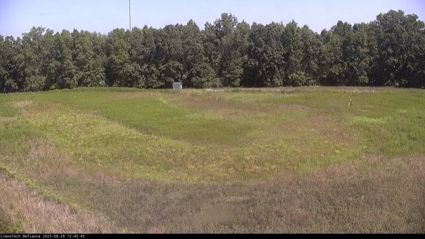 Cell 4_23-08-29_12-40-45-89