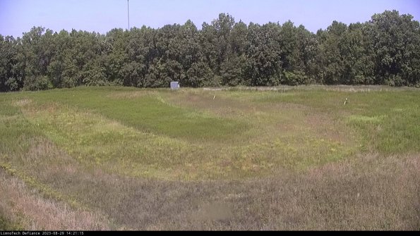 Cell 4_23-08-29_14-21-15-89