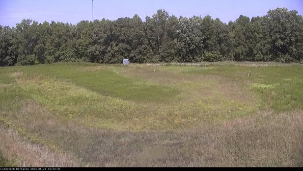 Cell 4_23-08-29_14-54-43-87