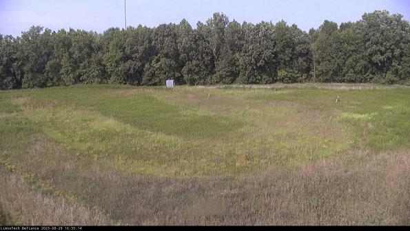 Cell 4_23-08-29_16-35-14-90