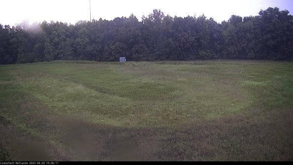 Cell 4_23-08-29_19-56-11-88