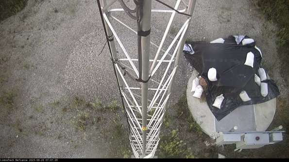 Hatch_23-08-29_07-07-29-90