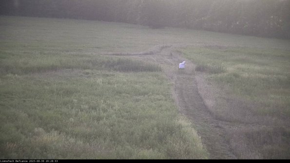 Cell 1 to 2_23-08-30_20-28-53-86