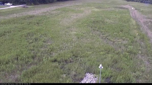 Cell 1_23-08-30_10-59-14-90