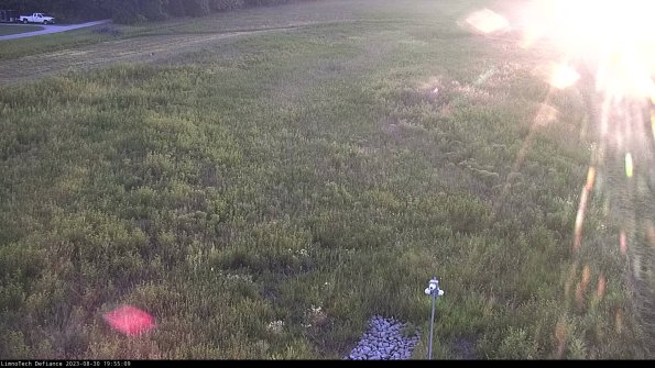 Cell 1_23-08-30_19-55-09-89