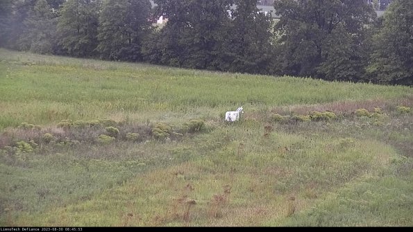 Cell 2 to 3_23-08-30_08-45-54-13