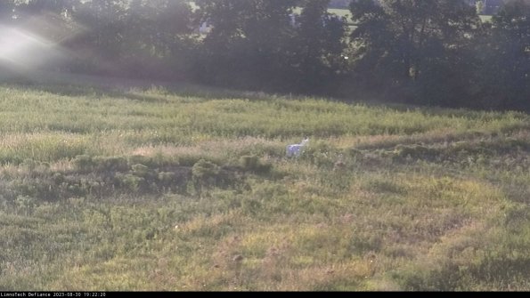 Cell 2 to 3_23-08-30_19-22-20-98