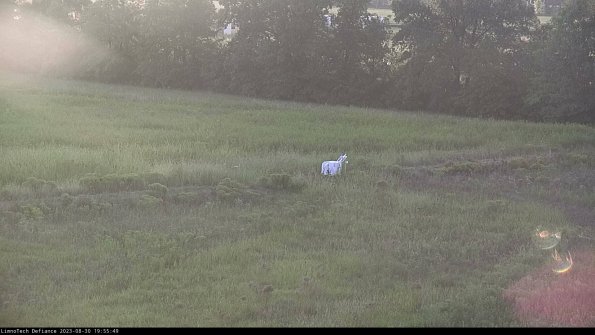 Cell 2 to 3_23-08-30_19-55-50-03