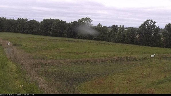 Cell 2_23-08-30_09-19-10-93