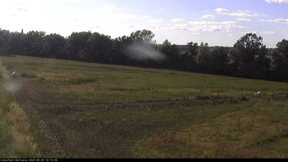 Cell 2_23-08-30_18-15-06-92