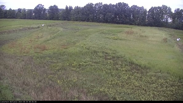 Cell 3_23-08-30_08-46-08-87