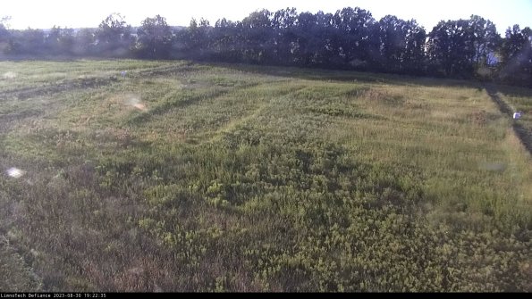 Cell 3_23-08-30_19-22-35-89