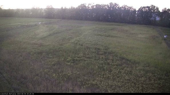 Cell 3_23-08-30_20-29-34-87