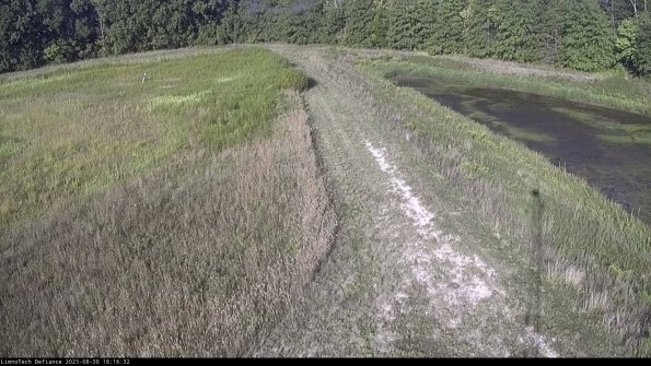 Cell 4 to Basin_23-08-30_18-16-32-88