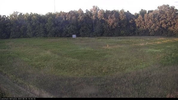 Cell 4_23-08-30_19-56-32-87