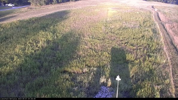 Cell 1_23-09-01_07-38-49-87