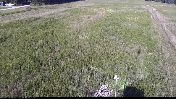 Cell 1_23-09-01_08-45-47-88