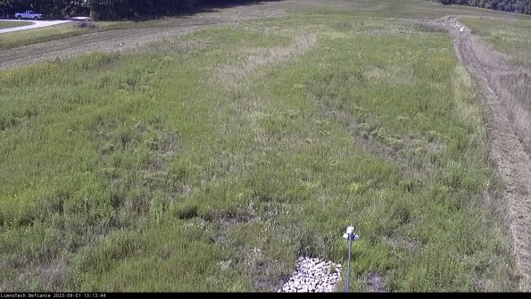 Cell 1_23-09-01_13-13-44-87