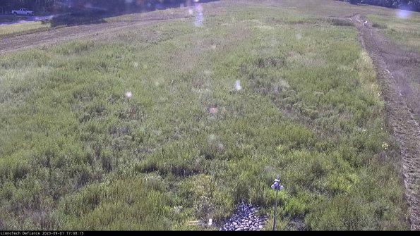 Cell 1_23-09-01_17-08-15-87