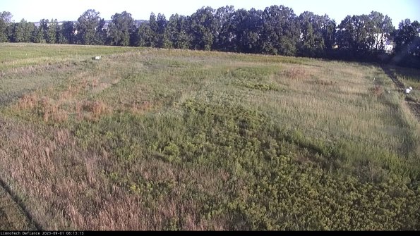 Cell 3_23-09-01_08-13-14-11