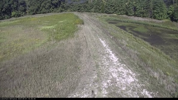 Cell 4 to Basin_23-09-01_16-36-38-91