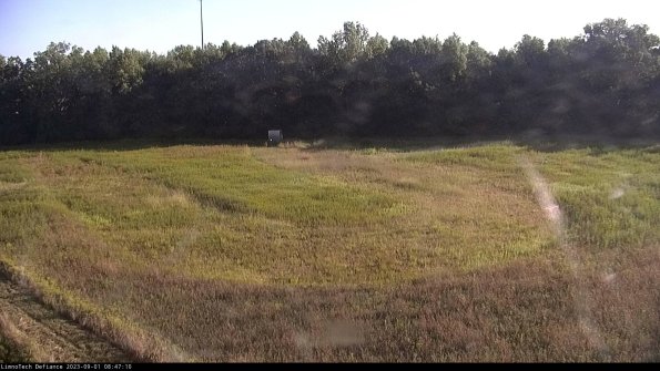 Cell 4_23-09-01_08-47-10-89