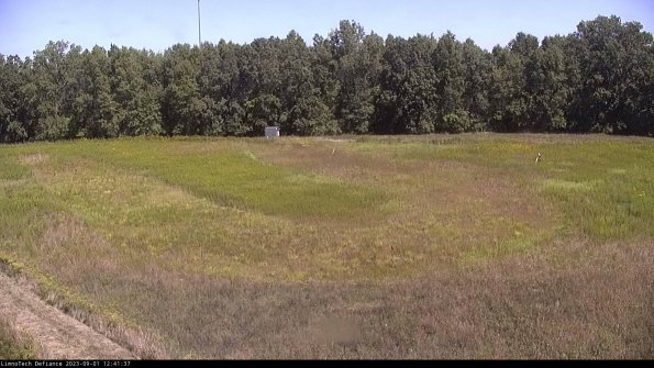 Cell 4_23-09-01_12-41-37-87