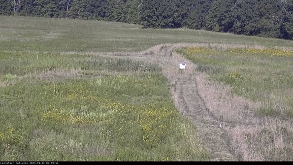 Cell 1 to 2_23-09-02_09-19-54-87