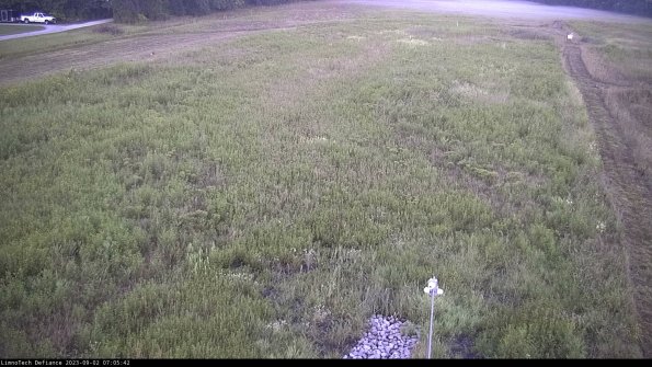 Cell 1_23-09-02_07-05-42-88