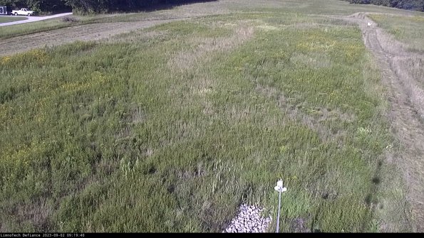 Cell 1_23-09-02_09-19-40-85